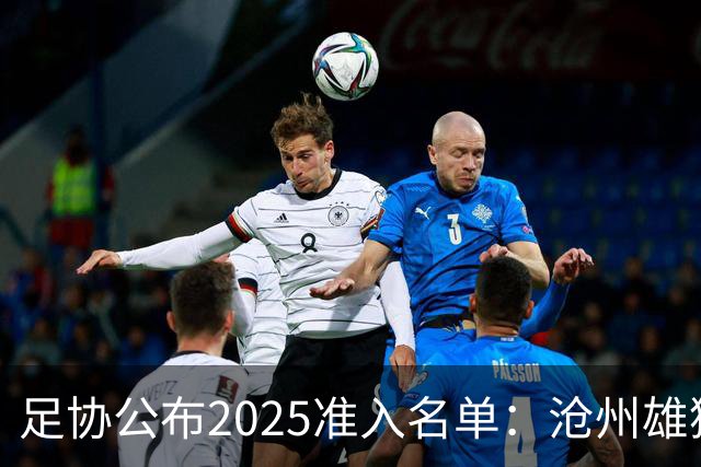 足协公布2025准入名单：沧州雄狮、广州队无缘